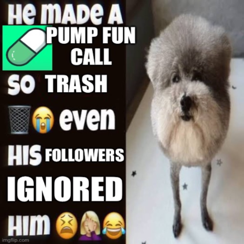 Statement Dog