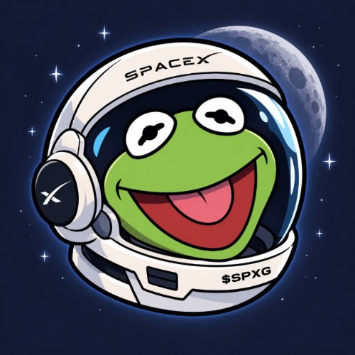 SpaceX Glitch