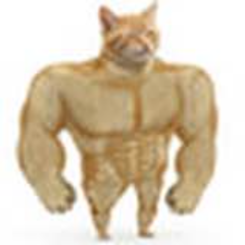 Buff Cat