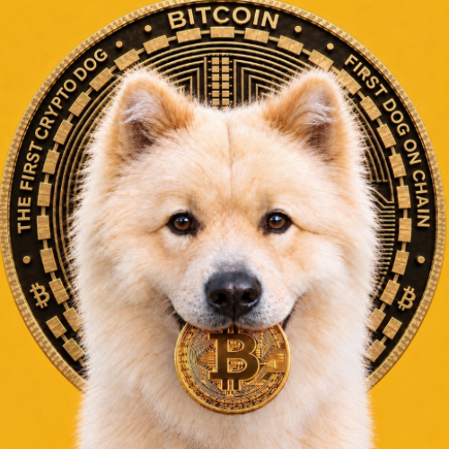 BUDDY - First Crypto Dog
