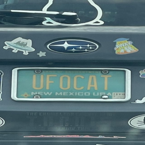 UFO Cat