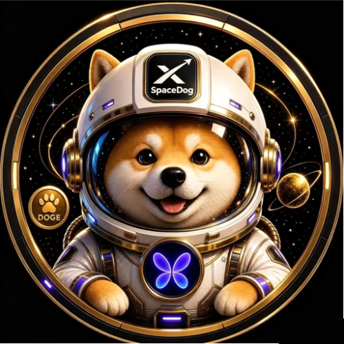 SpaceDog