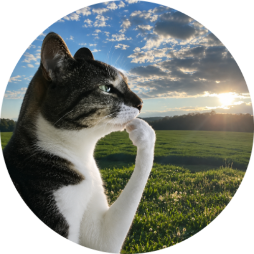 Thinking Cat