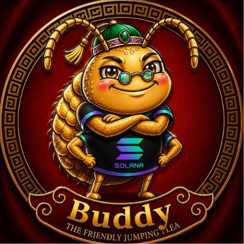 Buddysol