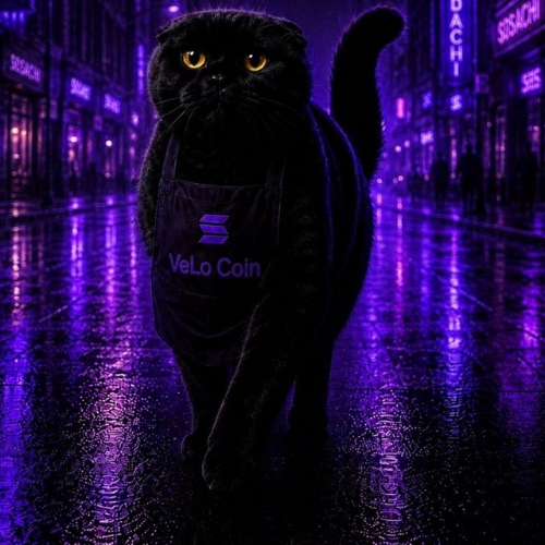 VeLo Coin