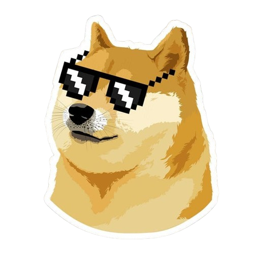 DogeGlass ✅