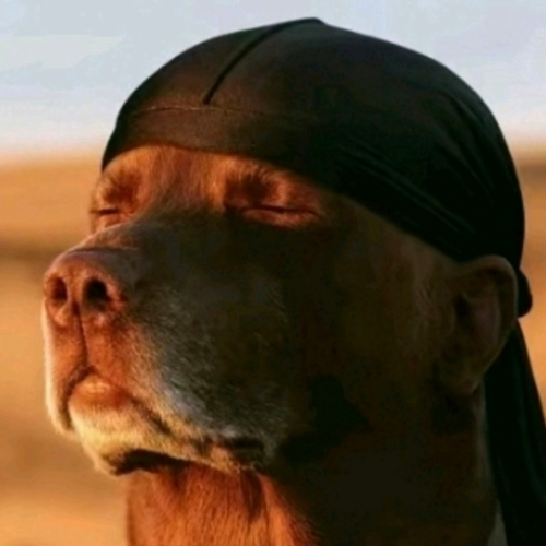 DELULU DOG