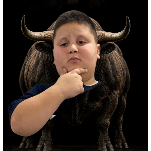 The Rizz Bull