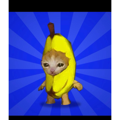 NANACAT