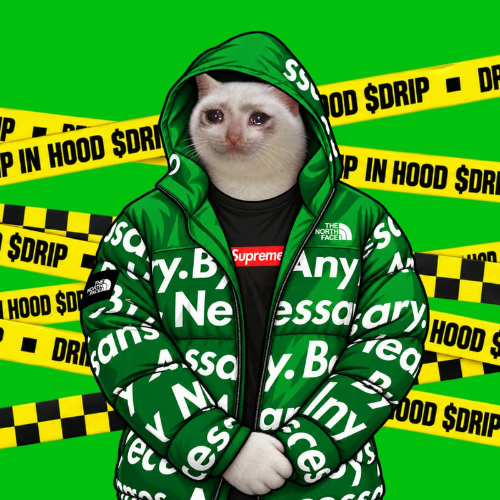 Drip Hood