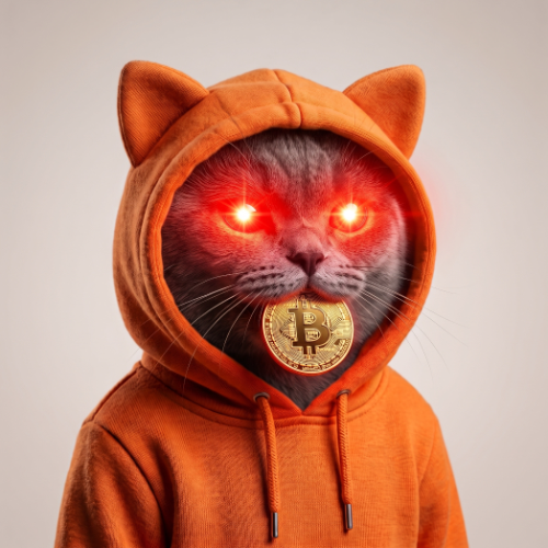 Catoshi Meowkamoto