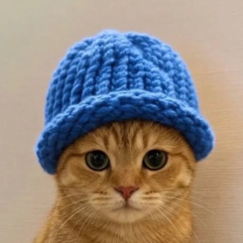 Catwifhat