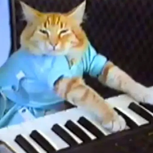 KeyCat Memes
