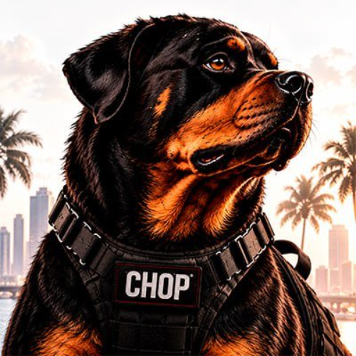GTA CHOP