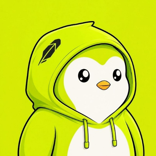 PENGU IN HOOD