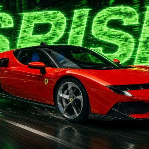 MAX RISK MAX RARI