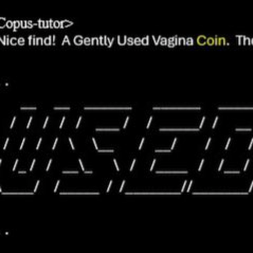 A Gently Used vagina coin